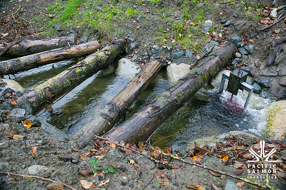 TRESTLE PLANTING - BROWNLANDS WETLAND RESTORATION PROJECT - Sombilon Photography-155