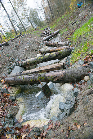 TRESTLE PLANTING - BROWNLANDS WETLAND RESTORATION PROJECT - Sombilon Photography-145