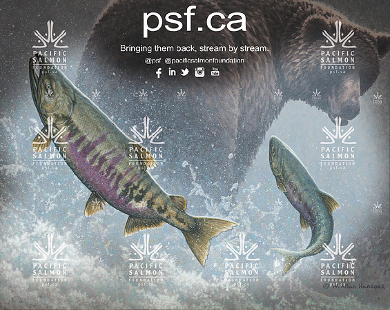 PSF BACKDROP TEST-6