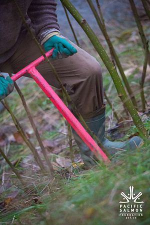 TRESTLE PLANTING - BROWNLANDS WETLAND RESTORATION PROJECT - Sombilon Photography-78