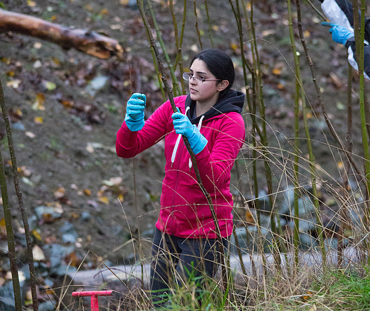 TRESTLE PLANTING - BROWNLANDS WETLAND RESTORATION PROJECT - Sombilon Photography-75