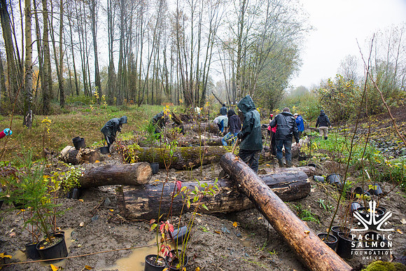 TRESTLE PLANTING - BROWNLANDS WETLAND RESTORATION PROJECT - Sombilon Photography-196