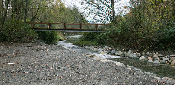 TRESTLE PLANTING - BROWNLANDS WETLAND RESTORATION PROJECT - Sombilon Photography-56