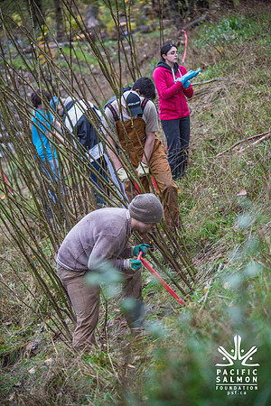 TRESTLE PLANTING - BROWNLANDS WETLAND RESTORATION PROJECT - Sombilon Photography-69