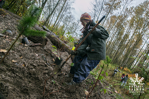 TRESTLE PLANTING - BROWNLANDS WETLAND RESTORATION PROJECT - Sombilon Photography-105