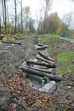 TRESTLE PLANTING - BROWNLANDS WETLAND RESTORATION PROJECT - Sombilon Photography-148