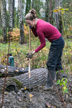 TRESTLE PLANTING - BROWNLANDS WETLAND RESTORATION PROJECT - Sombilon Photography-112