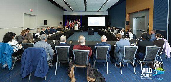 I - Wild Salmon Connections -PSF-173