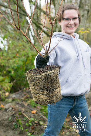 TRESTLE PLANTING - BROWNLANDS WETLAND RESTORATION PROJECT - Sombilon Photography-3