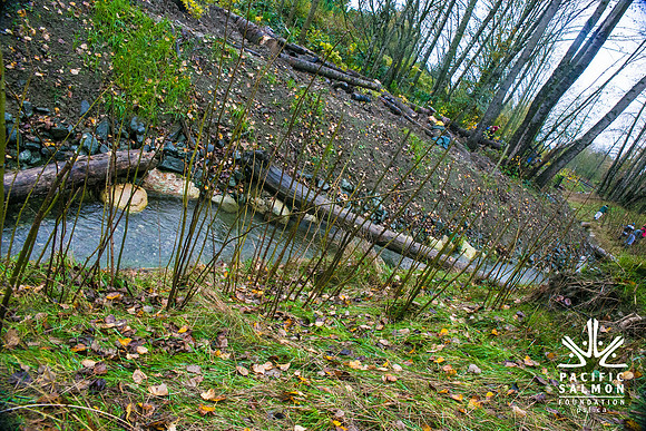 TRESTLE PLANTING - BROWNLANDS WETLAND RESTORATION PROJECT - Sombilon Photography-135