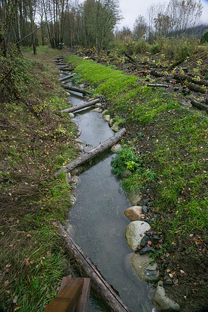 TRESTLE PLANTING - BROWNLANDS WETLAND RESTORATION PROJECT - Sombilon Photography-22