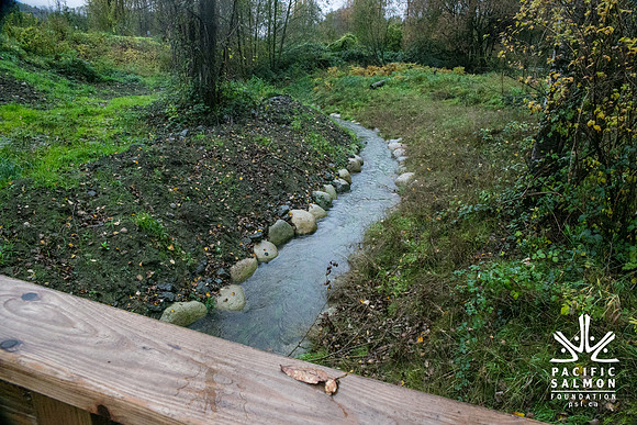TRESTLE PLANTING - BROWNLANDS WETLAND RESTORATION PROJECT - Sombilon Photography-28