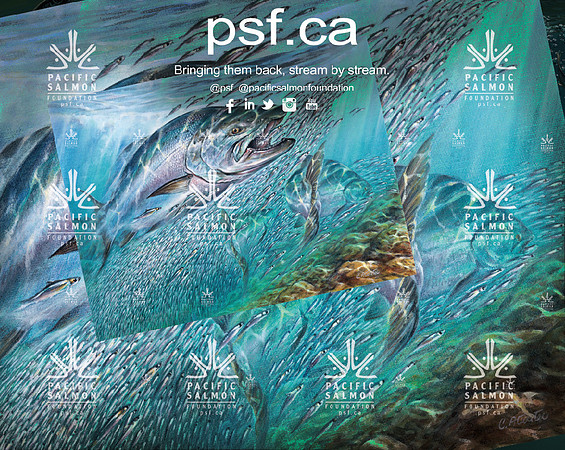 PSF BACKDROP TEST-3