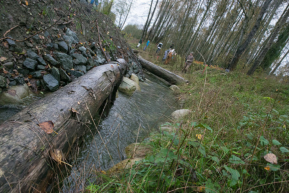 TRESTLE PLANTING - BROWNLANDS WETLAND RESTORATION PROJECT - Sombilon Photography-88