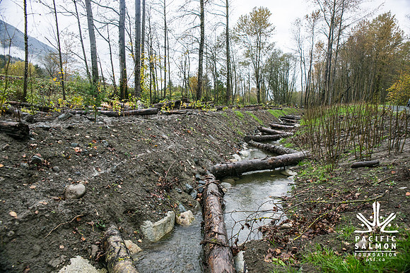 TRESTLE PLANTING - BROWNLANDS WETLAND RESTORATION PROJECT - Sombilon Photography-139