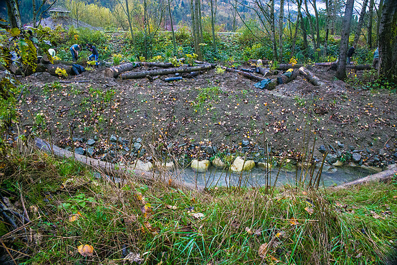 TRESTLE PLANTING - BROWNLANDS WETLAND RESTORATION PROJECT - Sombilon Photography-133