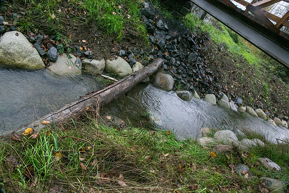 TRESTLE PLANTING - BROWNLANDS WETLAND RESTORATION PROJECT - Sombilon Photography-23