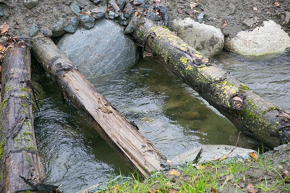 TRESTLE PLANTING - BROWNLANDS WETLAND RESTORATION PROJECT - Sombilon Photography-144