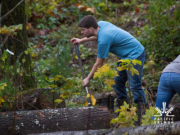 TRESTLE PLANTING - BROWNLANDS WETLAND RESTORATION PROJECT - Sombilon Photography-80