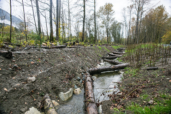 TRESTLE PLANTING - BROWNLANDS WETLAND RESTORATION PROJECT - Sombilon Photography-139