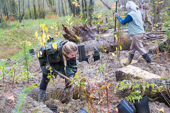 TRESTLE PLANTING - BROWNLANDS WETLAND RESTORATION PROJECT - Sombilon Photography-216