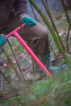 TRESTLE PLANTING - BROWNLANDS WETLAND RESTORATION PROJECT - Sombilon Photography-78