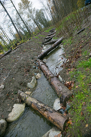 TRESTLE PLANTING - BROWNLANDS WETLAND RESTORATION PROJECT - Sombilon Photography-138