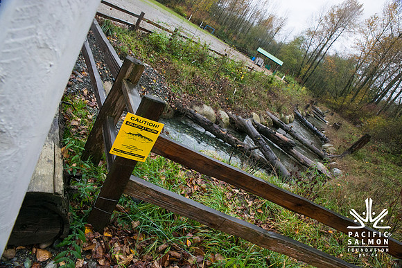 TRESTLE PLANTING - BROWNLANDS WETLAND RESTORATION PROJECT - Sombilon Photography-168
