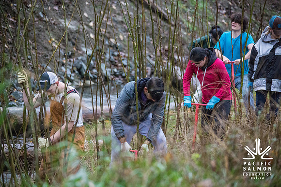 TRESTLE PLANTING - BROWNLANDS WETLAND RESTORATION PROJECT - Sombilon Photography-64
