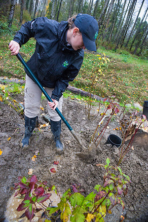 TRESTLE PLANTING - BROWNLANDS WETLAND RESTORATION PROJECT - Sombilon Photography-212