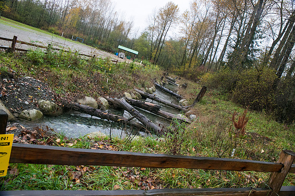 TRESTLE PLANTING - BROWNLANDS WETLAND RESTORATION PROJECT - Sombilon Photography-169