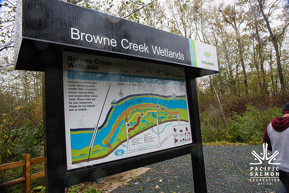 TRESTLE PLANTING - BROWNLANDS WETLAND RESTORATION PROJECT - Sombilon Photography-179