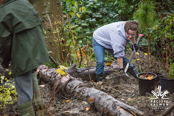 TRESTLE PLANTING - BROWNLANDS WETLAND RESTORATION PROJECT - Sombilon Photography-67