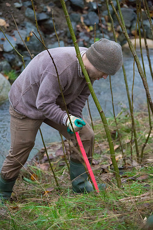 TRESTLE PLANTING - BROWNLANDS WETLAND RESTORATION PROJECT - Sombilon Photography-76
