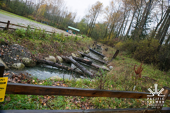 TRESTLE PLANTING - BROWNLANDS WETLAND RESTORATION PROJECT - Sombilon Photography-169