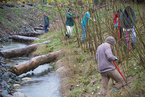 TRESTLE PLANTING - BROWNLANDS WETLAND RESTORATION PROJECT - Sombilon Photography-84