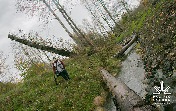 TRESTLE PLANTING - BROWNLANDS WETLAND RESTORATION PROJECT - Sombilon Photography-96
