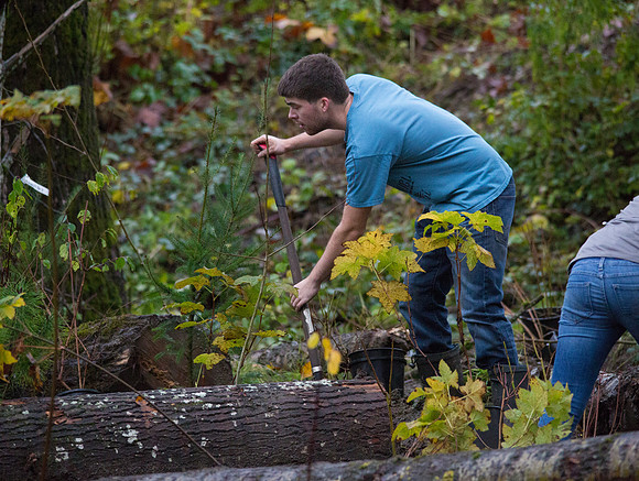 TRESTLE PLANTING - BROWNLANDS WETLAND RESTORATION PROJECT - Sombilon Photography-80