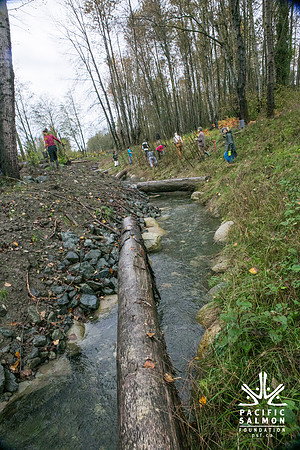 TRESTLE PLANTING - BROWNLANDS WETLAND RESTORATION PROJECT - Sombilon Photography-86