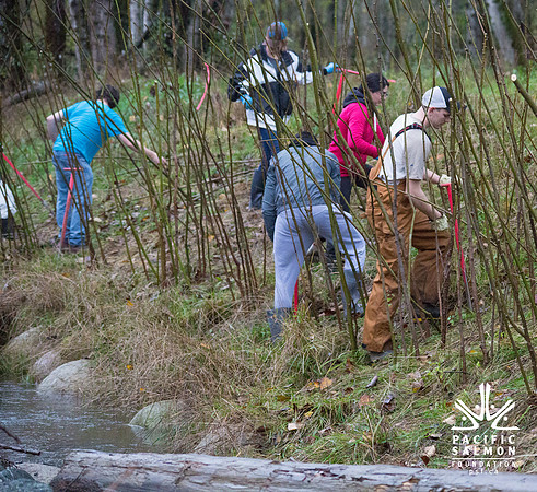 TRESTLE PLANTING - BROWNLANDS WETLAND RESTORATION PROJECT - Sombilon Photography-90