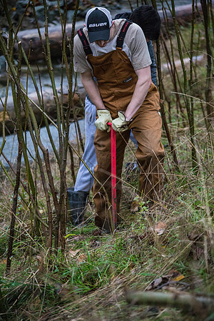 TRESTLE PLANTING - BROWNLANDS WETLAND RESTORATION PROJECT - Sombilon Photography-81