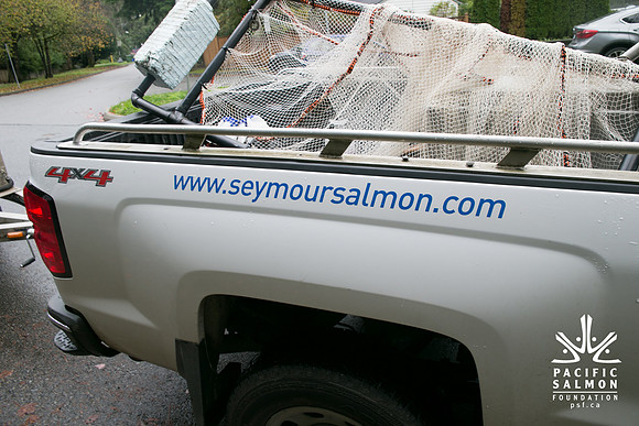 Seymour Salmon Society Fish Rescue - Sombilon Photography
