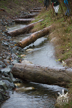 TRESTLE PLANTING - BROWNLANDS WETLAND RESTORATION PROJECT - Sombilon Photography-83