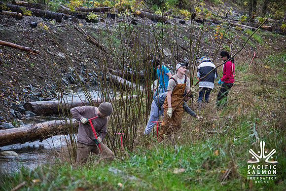 TRESTLE PLANTING - BROWNLANDS WETLAND RESTORATION PROJECT - Sombilon Photography-62