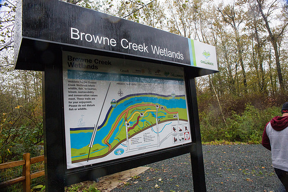 TRESTLE PLANTING - BROWNLANDS WETLAND RESTORATION PROJECT - Sombilon Photography-179