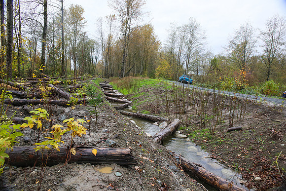 TRESTLE PLANTING - BROWNLANDS WETLAND RESTORATION PROJECT - Sombilon Photography-156