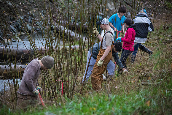 TRESTLE PLANTING - BROWNLANDS WETLAND RESTORATION PROJECT - Sombilon Photography-63