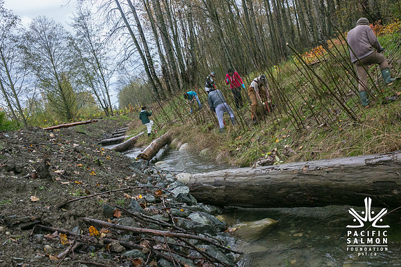 TRESTLE PLANTING - BROWNLANDS WETLAND RESTORATION PROJECT - Sombilon Photography-99