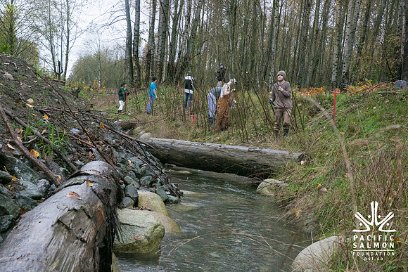 TRESTLE PLANTING - BROWNLANDS WETLAND RESTORATION PROJECT - Sombilon Photography-87