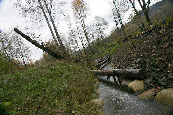 TRESTLE PLANTING - BROWNLANDS WETLAND RESTORATION PROJECT - Sombilon Photography-130